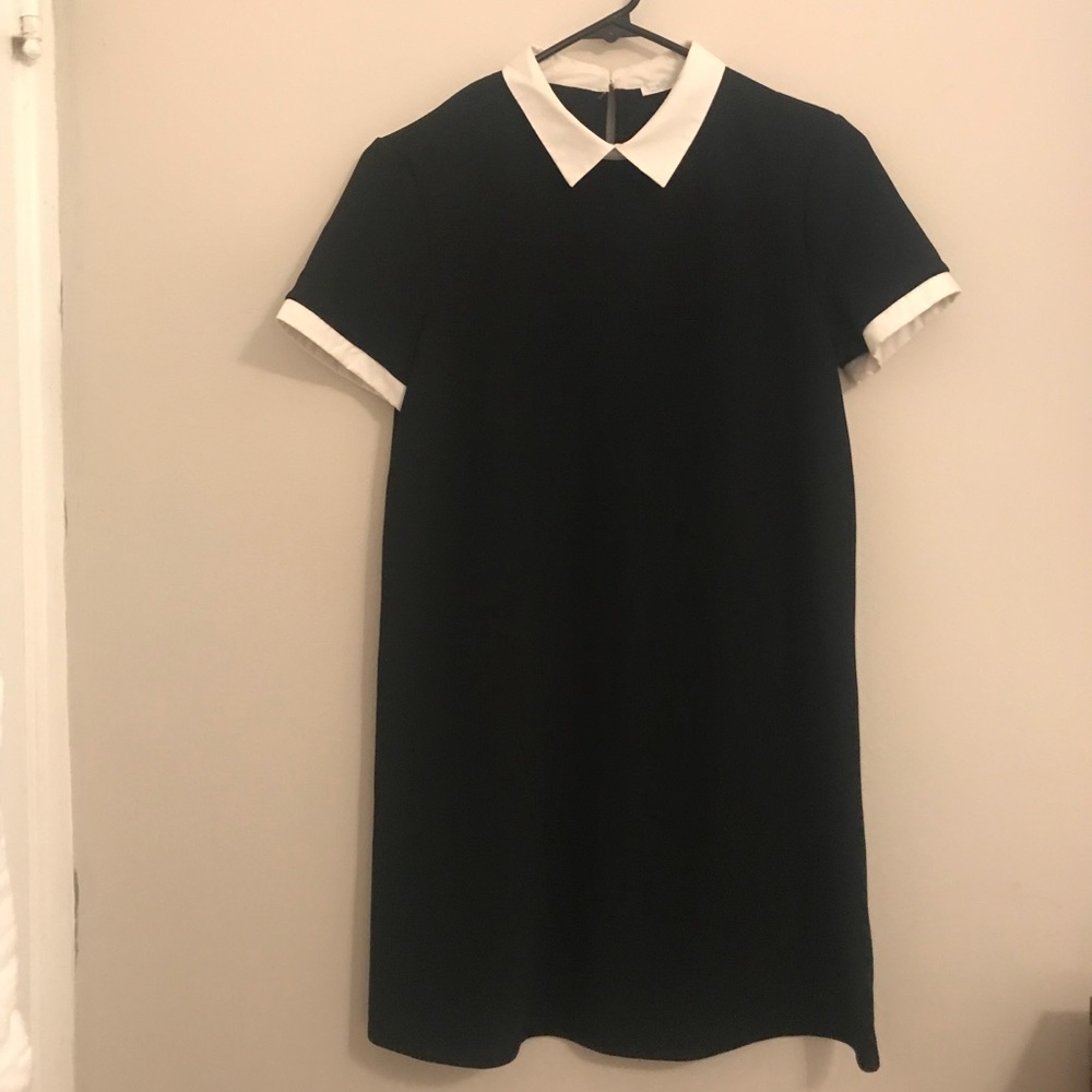Zara Trafaluc Dress